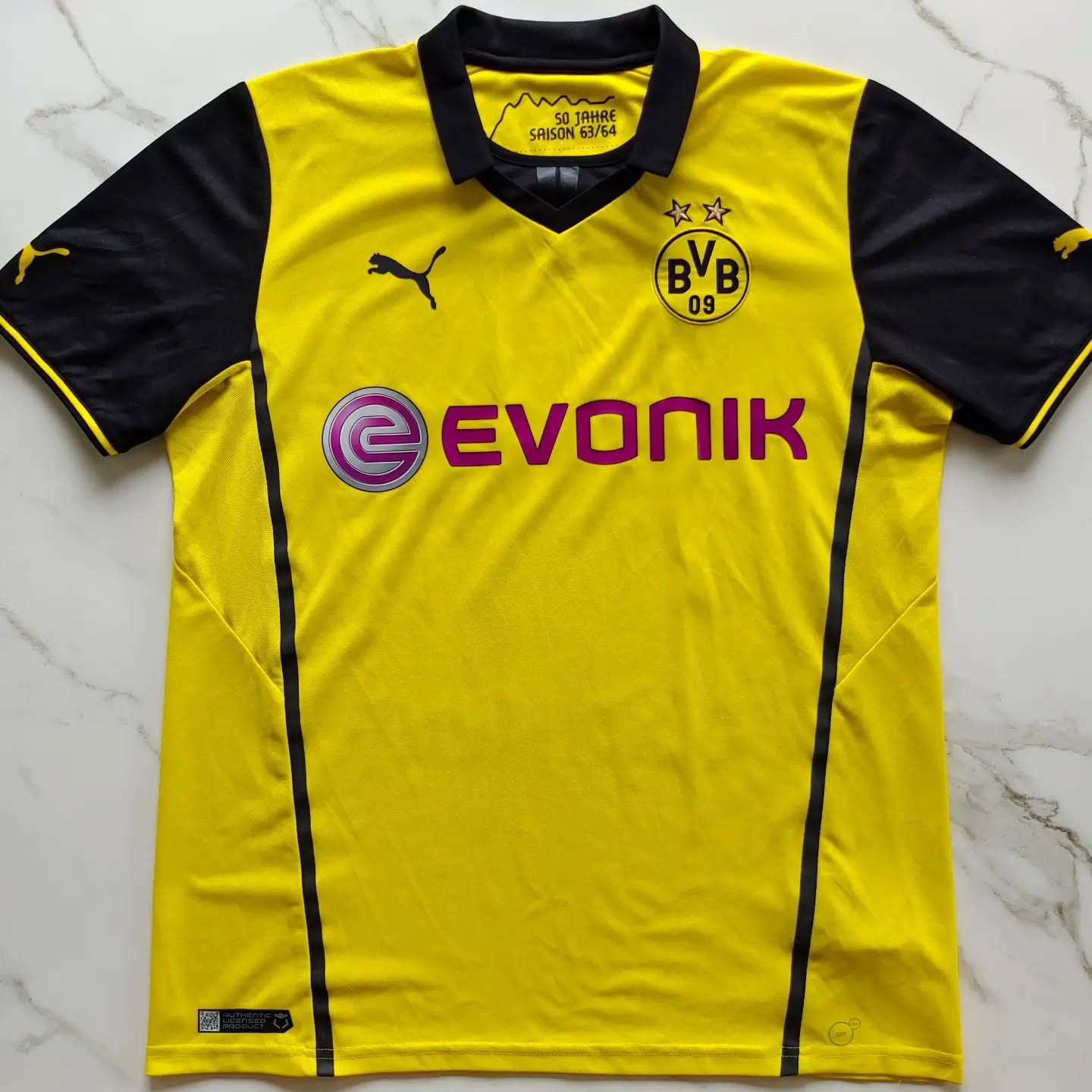 Borussia Dortmund 2013-2014 Home