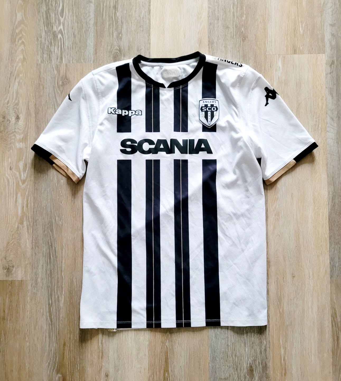 Angers 2018-2019 Home