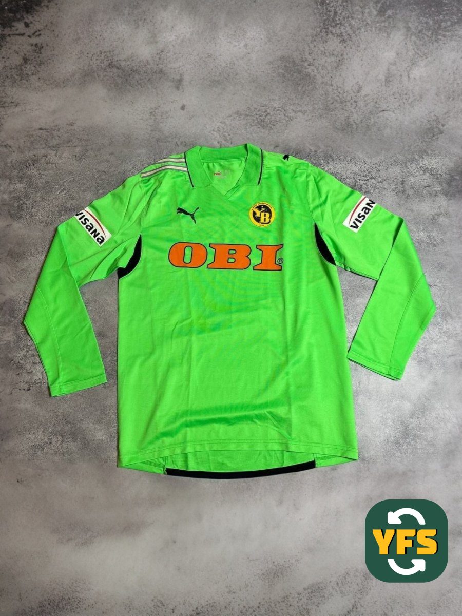 BSC Young Boys 2008-2009