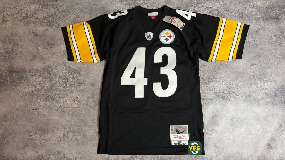 Pittsburgh Steelers 2005-2006 Special edition Polamalu #43
