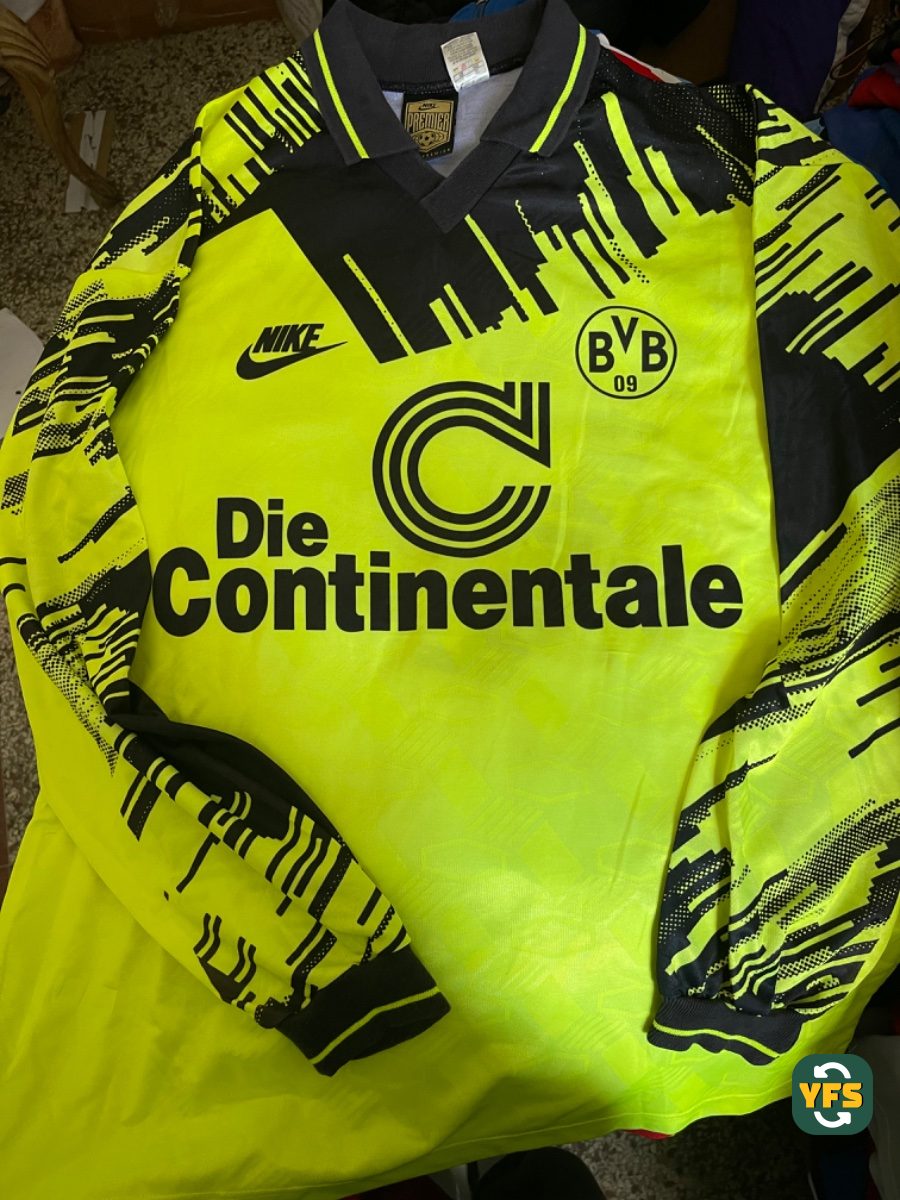 Borussia Dortmund 1993-1994
