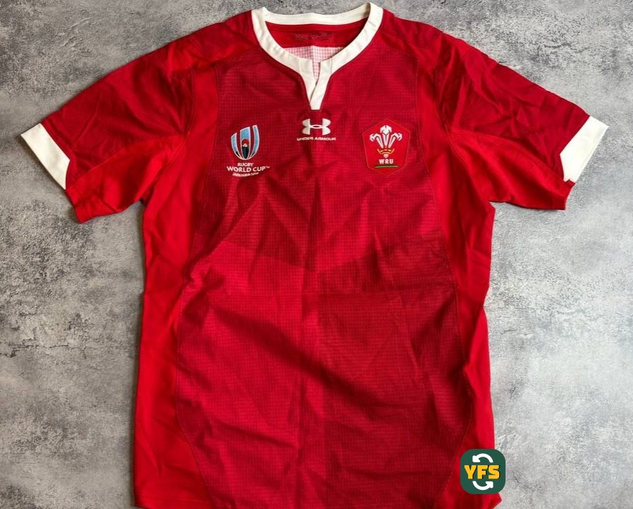 Wales rugby 2019-2020 Home