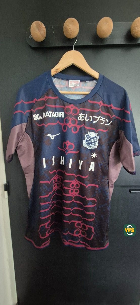 Consadole Sapporo 2024-2025 Away