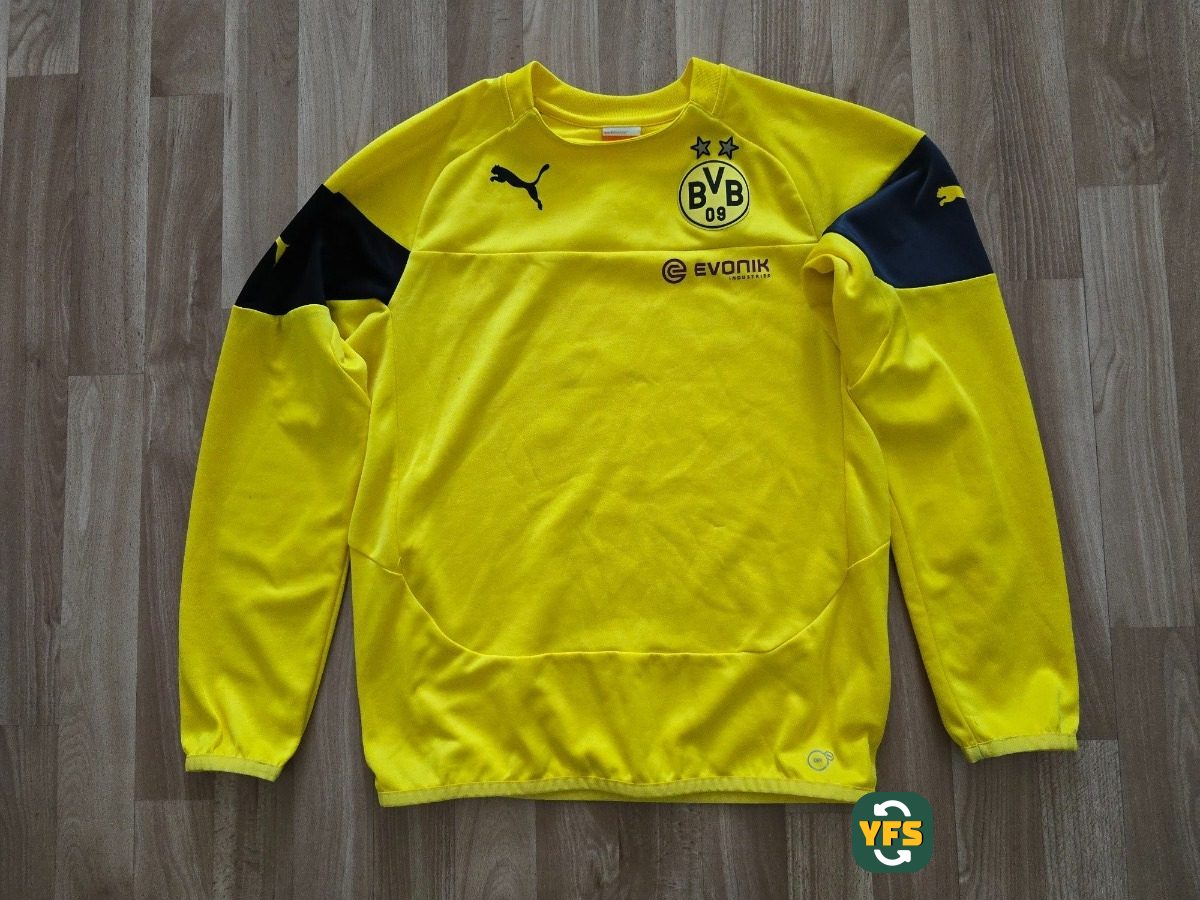 Borussia Dortmund 2015-2016 Training