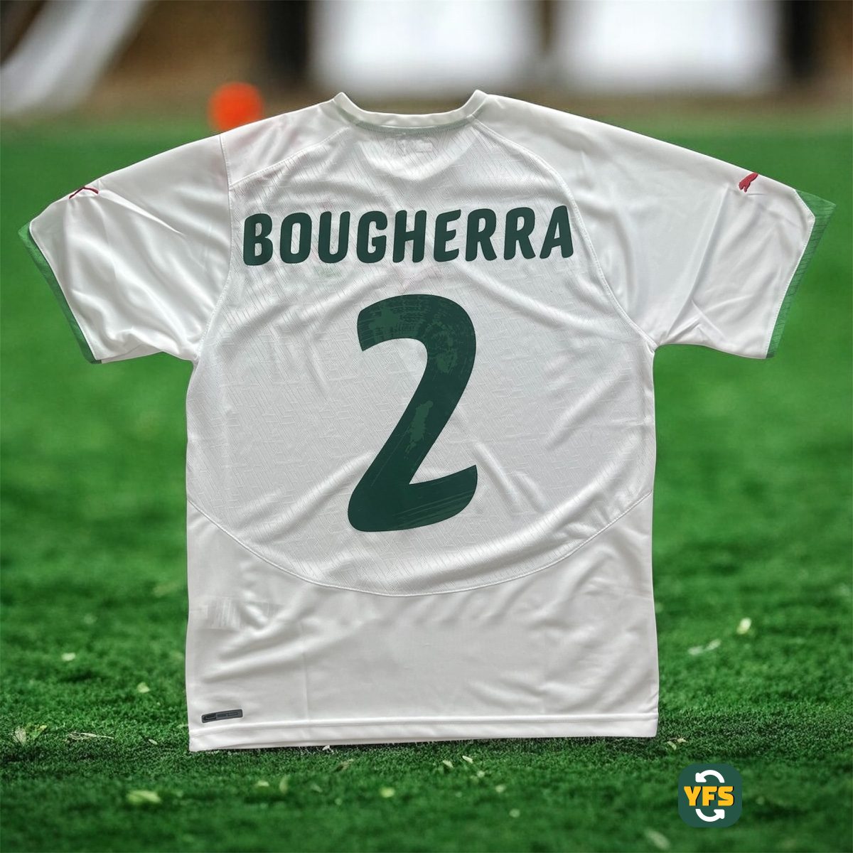 Algeria 2010-2011 Home Bougherra #2