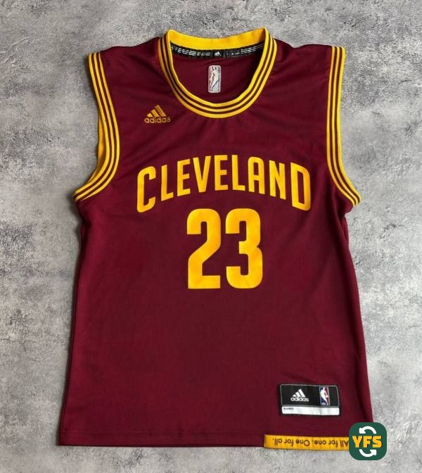 Cleveland Cavaliers 2015-2016 Home LeBron James