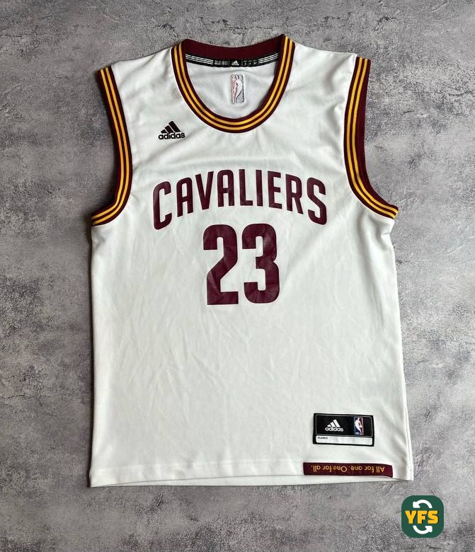 Cleveland Cavaliers 2015-2016 Away LeBron James #23