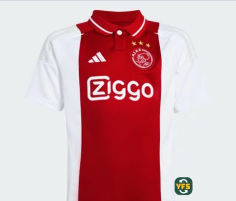 Ajax Amsterdam 2024-2025 Home #14