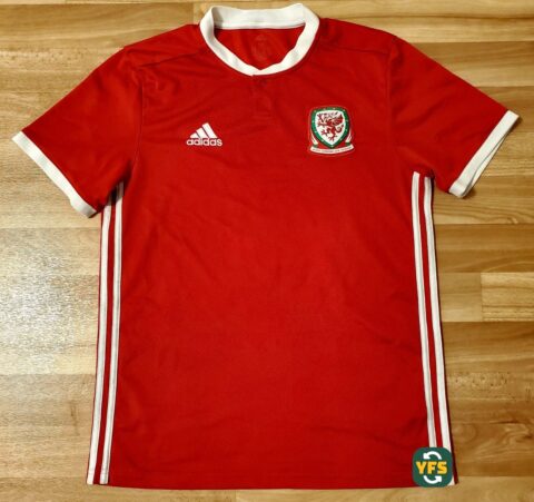Wales 2018-2019 Home