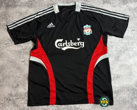Liverpool 2008-2009 Training
