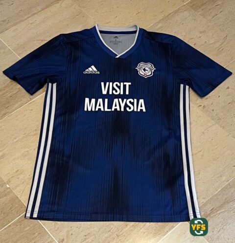 Cardiff City 2019-2020 Home